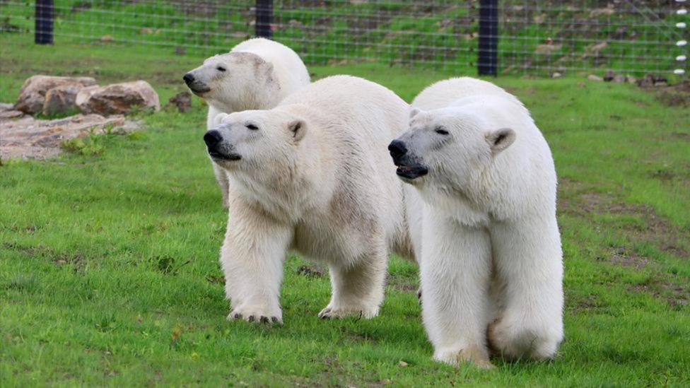 Chic 2 Bed Peak District Cottage Barn Near Alton Towers, Polar Bears, Chatsworth House Leek Εξωτερικό φωτογραφία