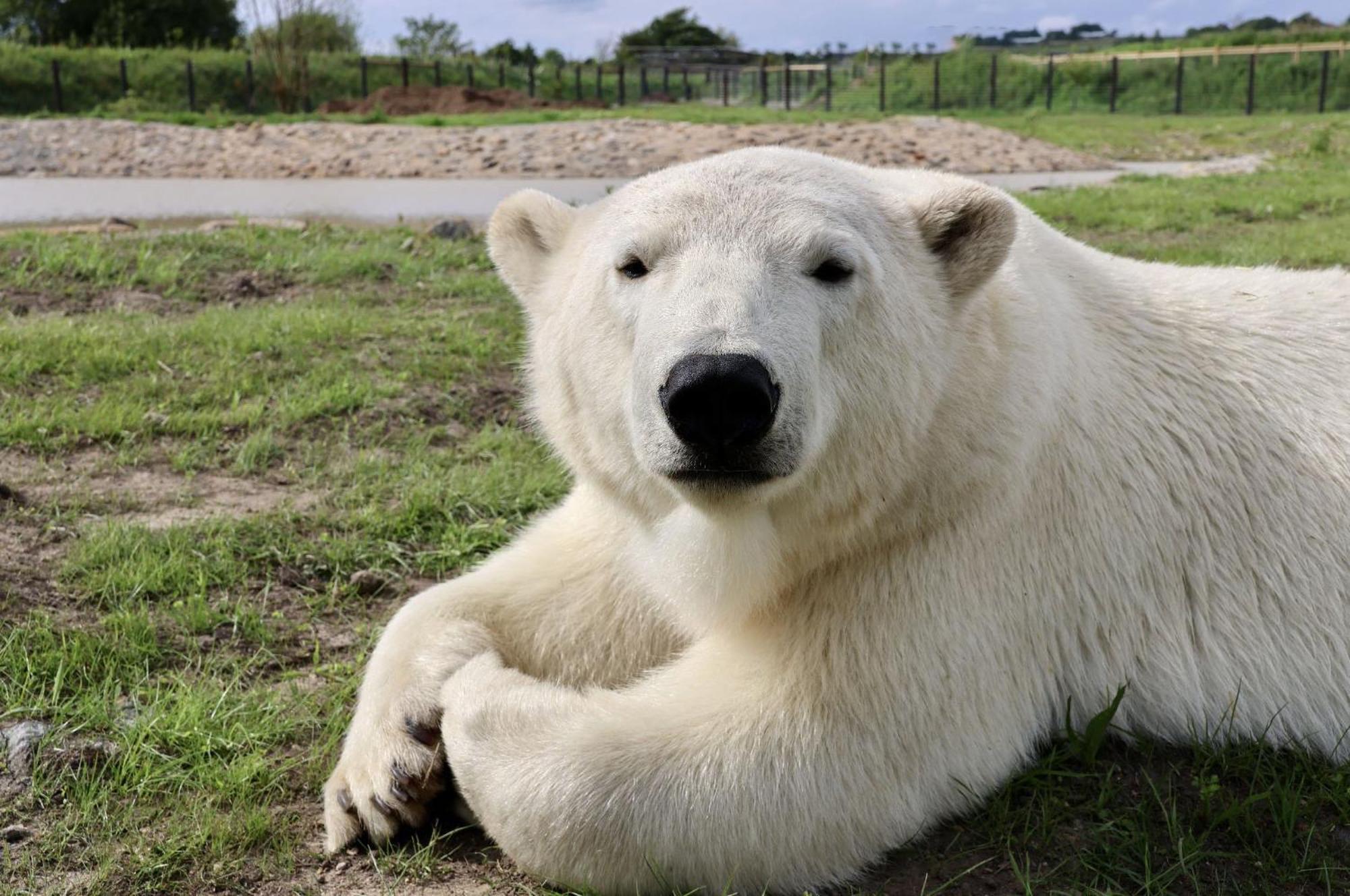 Chic 2 Bed Peak District Cottage Barn Near Alton Towers, Polar Bears, Chatsworth House Leek Εξωτερικό φωτογραφία